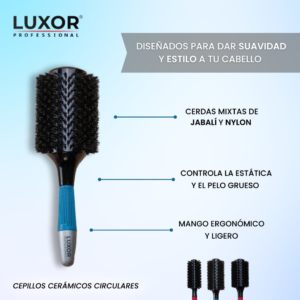 Kit de Cepillos Mango De Madera y Cerdas De Jabali
